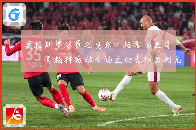 奥格斯堡球员迈克尔·格雷戈里奇体育精神感动全场主动告知裁判无犯规
