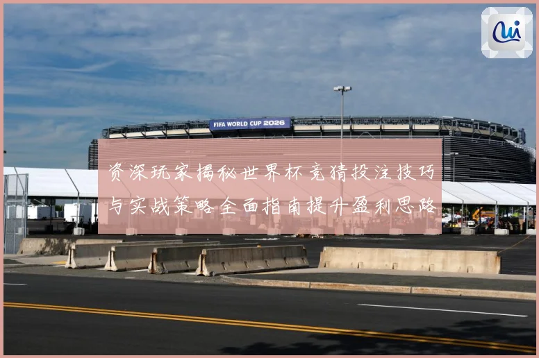 资深玩家揭秘世界杯竞猜投注技巧与实战策略全面指南提升盈利思路