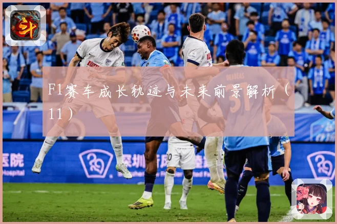 F1赛车成长轨迹与未来前景解析（11）