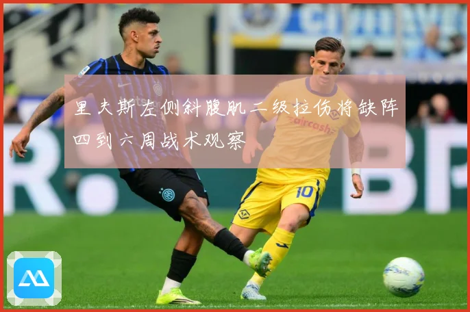 里夫斯左侧斜腹肌二级拉伤将缺阵四到六周战术观察