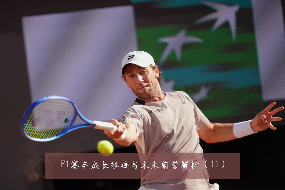 F1赛车成长轨迹与未来前景解析（11）